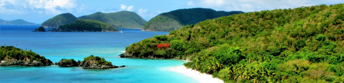 Trunk Bay (Rennett Stowe)  [flickr.com]  CC BY 
Informazioni sulla licenza disponibili sotto 'Prova delle fonti di immagine'